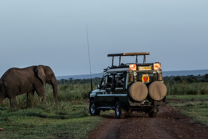 4 Days Safari from Mombasa to Amboseli and Tsavo West and East - Key highlights to know before you go