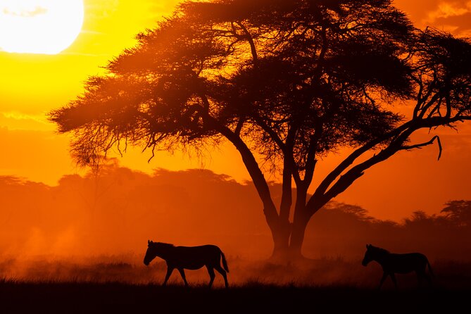 4 Days Safari from Mombasa to Amboseli and Tsavo West and East - Value for $1,600, what’s included and what changes the math