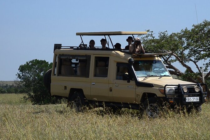 4 Days Safari Lake Nakuru NP Naivasha and Masai Mara - Who This Safari Fits Best (and Who Might Want Another Option)