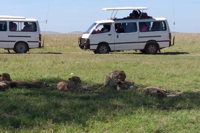 4 Days Small Group Maasai Mara and Lake Nakuru Safari - Price and value: what $311.69 covers, and what can still add up