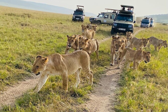 4 Days Tour Landcruiser in Masai Mara and Lake Nakuru - The 4-Day Masai Mara and Lake Nakuru Plan, In Real Terms