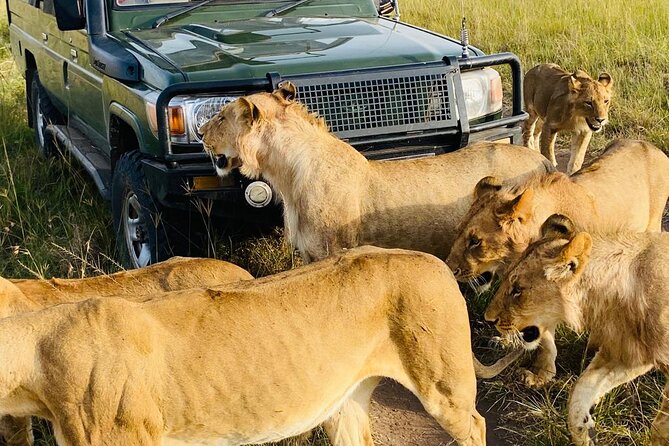 4 Days Tour Landcruiser in Masai Mara and Lake Nakuru - Ride Toward Lake Nakuru: Views From the Main Highway