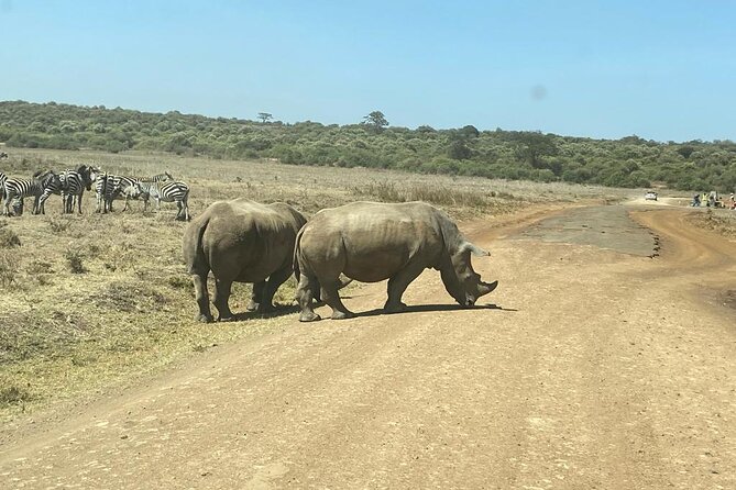 4 Days Tour Landcruiser in Masai Mara and Lake Nakuru - Lake Nakuru National Park: Flamingos, Pink Shores, and a Short Game Drive