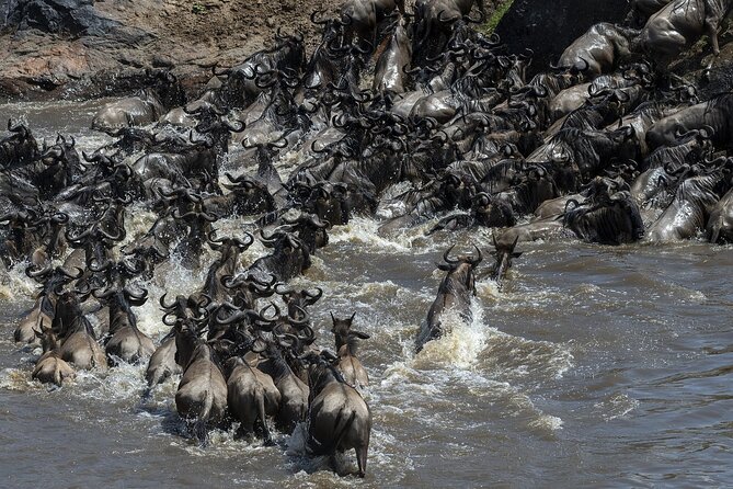 4 Days wildebeest lake nakuru masai mara safari - Getting Started: 6:00 am Pickup, 4x4 Toyota Hiace, and Park-Time Focus