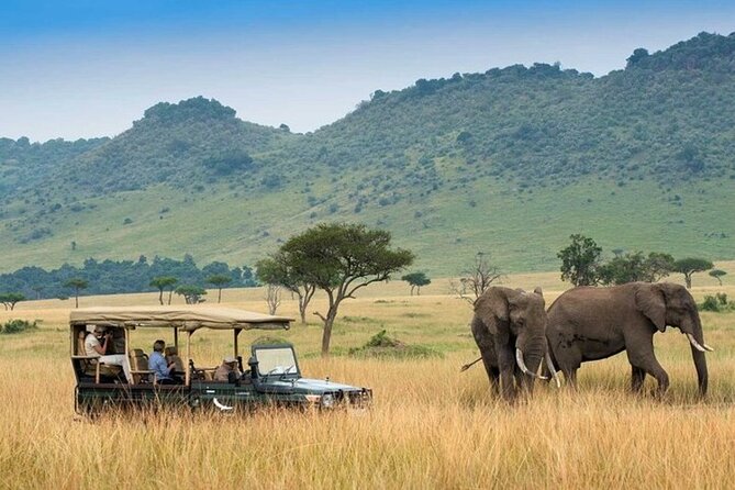 4day Maasai Mara, Lake Nakuru, and Lake Naivasha - Key points to know before you go