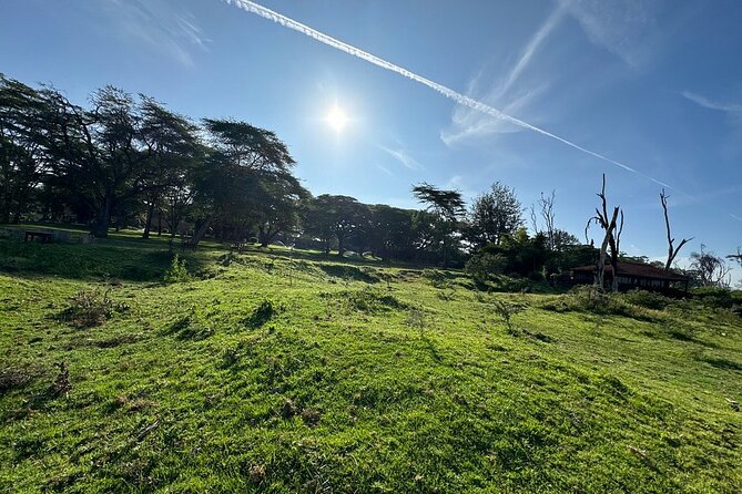 4day Maasai Mara, Lake Nakuru, and Lake Naivasha - Maasai Mara Day 1: Rift Valley viewpoints and your first game drive