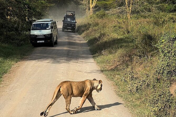 4day Maasai Mara, Lake Nakuru, and Lake Naivasha - Lake Nakuru Day 3: Early start, wildlife focus, and lodge downtime