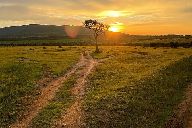 4day Maasai Mara, Lake Nakuru, and Lake Naivasha - Lake Naivasha and Hell’s Gate Day 4: biking, gorge views, and a boat on the lake