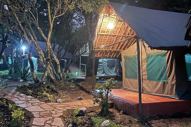 4day Maasai Mara, Lake Nakuru, and Lake Naivasha - Small group energy and the role of a good guide