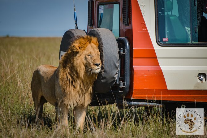 5-Day 4 Nights Masai Mara-L Nakuru-Hell's Gate Budget Safari - The big picture: why this safari is a smart budget route