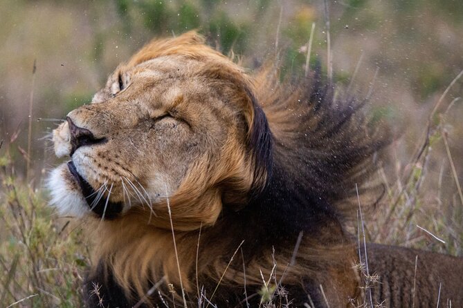 5-Day Lakes and Masai Mara Plains 4 x 4 Safari - A 5-day Nairobi safari route that actually makes sense