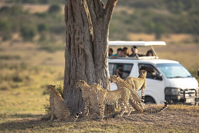 5-Day Lakes and Masai Mara Plains 4 x 4 Safari - Price and logistics: what $2,650 gets you in real life