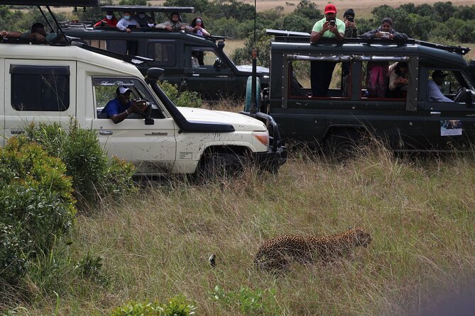 5-Day Private Tour in Kenya's Best Game Parks - Day 5 Dawn Drive and an Optional Maasai Village Visit Before Nairobi