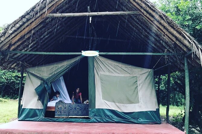 5-Day Safari in Maasai Mara, Lake Nakuru and Naivasha - The best reason to pick this route: three ecosystems, one smooth flow