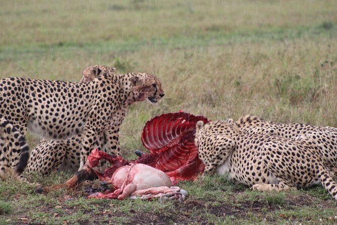 5-Day Safari in Maasai Mara, Lake Nakuru and Naivasha - Lake Naivasha on Day 4: white rhinos, possible pink flamingos, and a boat ride