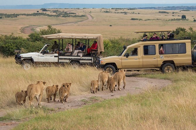 5 Days/4 Nights Kenya Safari - Day 2 Maasai Mara Predators, Mara River, and Optional Village Time