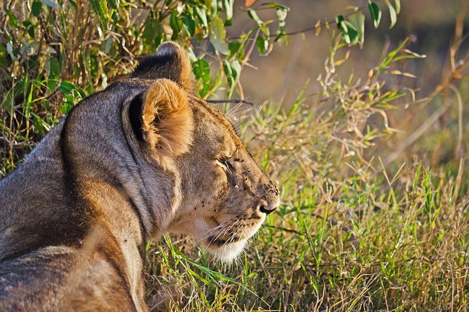 5 Days Best Of Kenya Safari - Lake Naivasha and Hell’s Gate on Day 4: the rare chance to move on foot