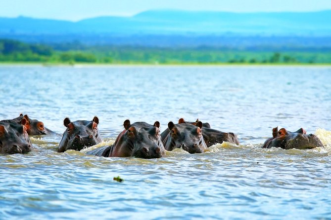 5 Days Hell's Gate, L. Naivasha, L. Nakuru & Masai Mara Luxury Safari - Key things I’d bet on before you book
