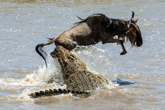 5 Days Hell's Gate, L. Naivasha, L. Nakuru & Masai Mara Luxury Safari - Value for Money: what you pay, and what you do not