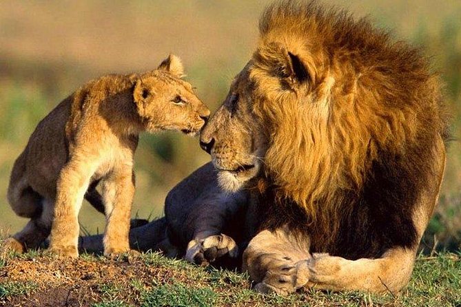 5 Days Hell's Gate, L. Naivasha, L. Nakuru & Masai Mara Luxury Safari - Hell’s Gate: the walking safari moment that changes how you see Kenya