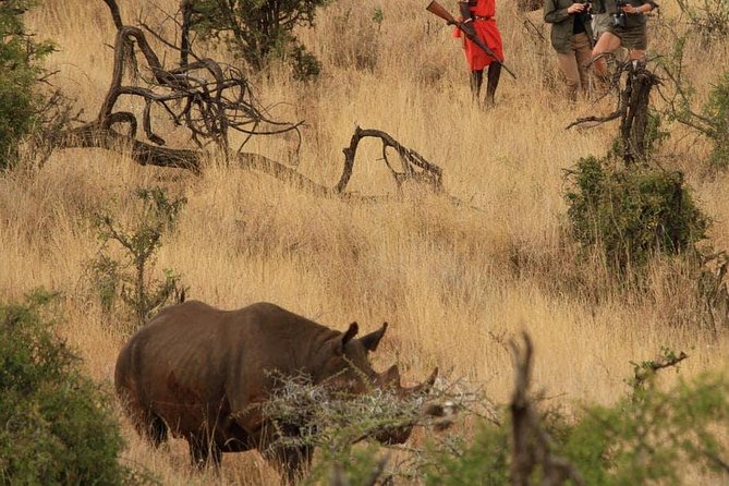 5 Days Kenya Masai Mara and Lake Nakuru Private Tour - Hot air balloon time: the US$450 question
