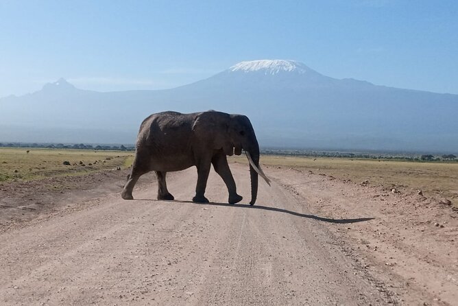 5 Days Lake Naivasha, Lake Nakuru, & Masai Mara - Day 1 Lake Naivasha: rift valley views and three ways to see wildlife