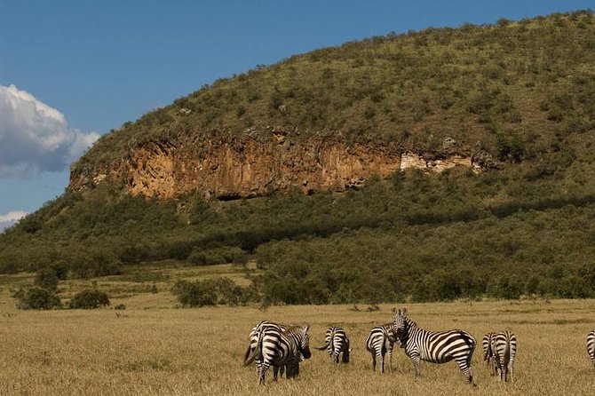 5 Days Maasai mara, Lake Nakuru, samburu private lodge safari - Why Maasai Mara, Nakuru, and Samburu is a strong Kenya combo
