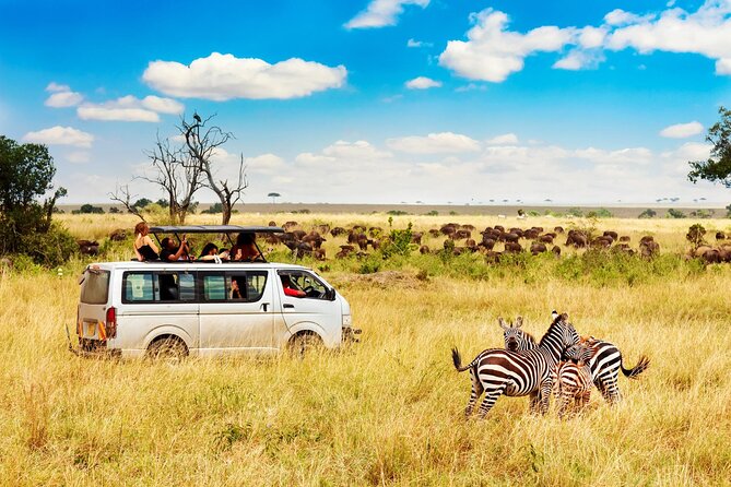 5 Days Masai Mara, Lake Nakuru & Naivasha Budget Joining Safari - Where you’ll sleep: budget camps versus simple lodge comfort
