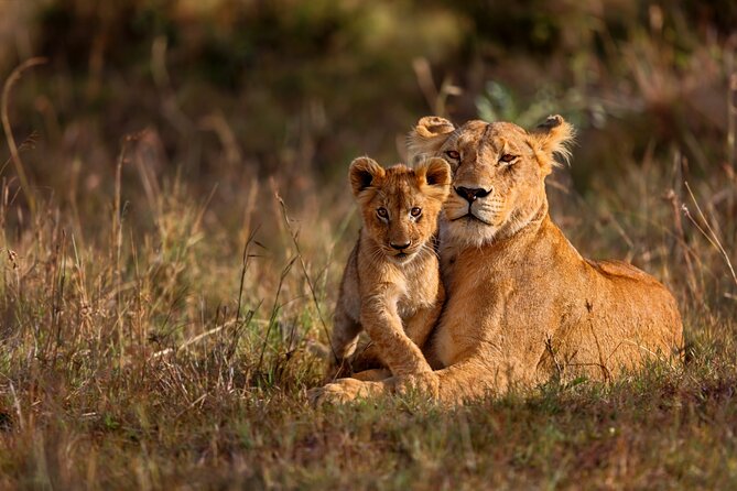 5 Days Masai Mara, Lake Nakuru & Naivasha Budget Joining Safari - Food, water, and what you should pack for a 5-day route