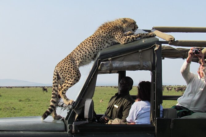 5 Days Mombasa,Tsavo East, Taita Salt Lick, Tsavo West, Amboseli, - Tsavo East from Mombasa, where elephants do most of the work