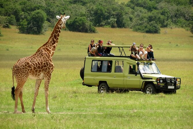 5 Days Mombasa,Tsavo East, Taita Salt Lick, Tsavo West, Amboseli, - Lodges and day pacing, what the rhythm feels like in real life