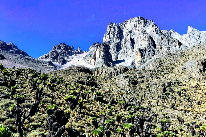 5 Days Mt. Kenya Sirimon route out Chogoria Route with Peak Circuit - Day 4 summit morning to Pt. Lenana: sunrise, cold tea, and huge views