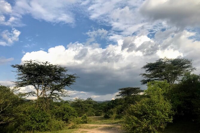 5 Days Mt. Kenya Sirimon route out Chogoria Route with Peak Circuit - What the $960 price includes, and where the real value is