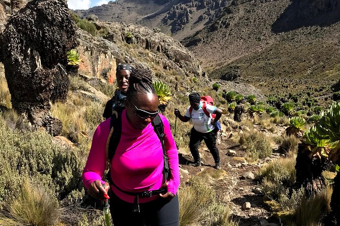 5 Days Mt. Kenya Sirimon route out Chogoria Route with Peak Circuit - The human side: guides, chefs, and why safety feels practical