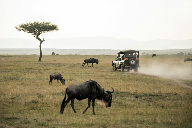 5 Days of Kenyan Magic: A Whirlwind Safari Adventure - Day 5: final Naivasha morning, optional Hell’s Gate, and back to Nairobi