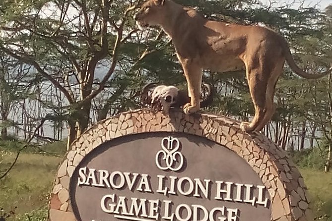 5 Days Safari to Aberdare N/P, Nakuru N/P and Maasai Mara N/R. - Lake Nakuru: a rhino and flamingo day with a beautiful sunset payoff