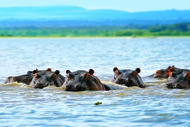 5 Days safari to Maasai Mara ,Lake Nakuru and Hell's gate national park - Key Things I’d Watch For