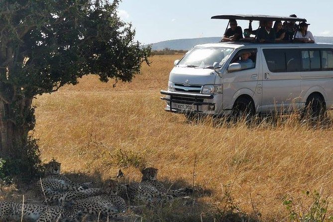 5 Days safari to Maasai Mara ,Lake Nakuru and Hell's gate national park - Why This 5-Day Kenya Loop Works So Well
