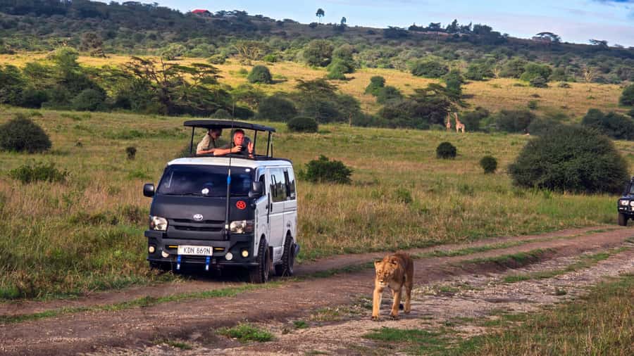 5-Hour Nairobi National Park 4x4 Safari with Free Pickup - Key highlights worth your attention