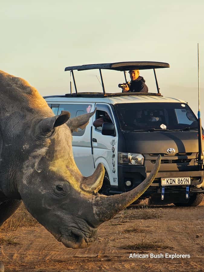 5-Hour Nairobi National Park 4x4 Safari with Free Pickup - Nairobi National Park: a safari with the city on the horizon
