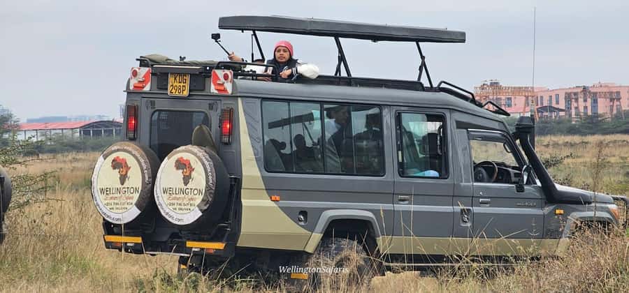 5-Hour Nairobi National Park 4x4 Safari with Free Pickup - Conservation lessons and the Ivory Burning Site stop