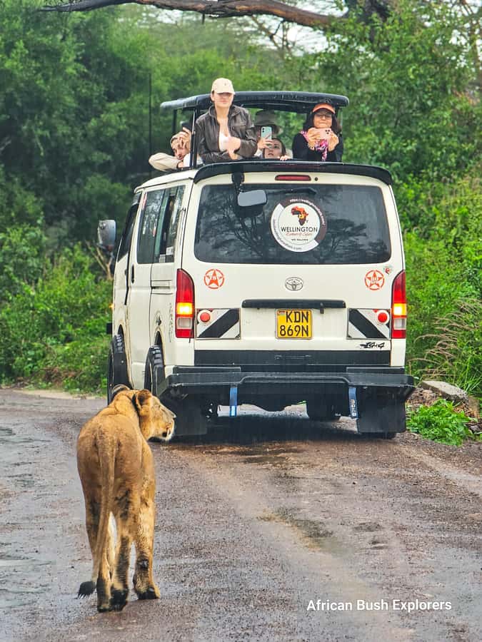 5-Hour Nairobi National Park 4x4 Safari with Free Pickup - Packing and comfort: what to wear and how to get good photos