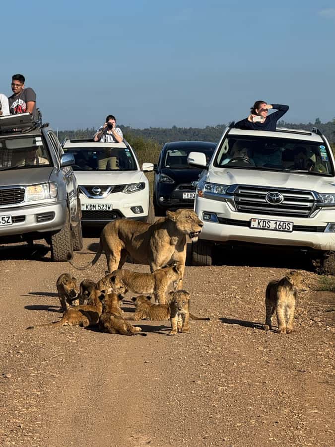 5-Hour Nairobi National Park 4x4 Safari with Free Pickup - The 4x4 game drive setup, free pickup, and timing