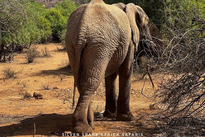 6-Day Maasai Mara Reserve, Lake Naivasha, Amboseli National Park - Nairobi to the Mara, your first big game drive window
