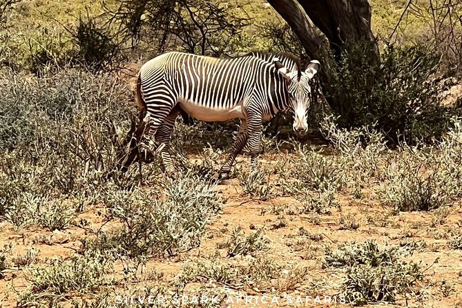 6-Day Maasai Mara Reserve, Lake Naivasha, Amboseli National Park - Lake Naivasha and Hell’s Gate, the change of pace you’ll actually feel