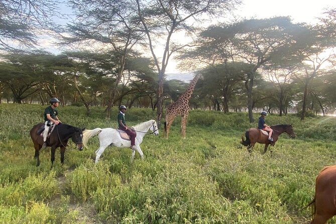 6 Day Nairobi-Amboseli-Maasai Mara Private Semi Luxury Tour - What Makes This Nairobi to Maasai Mara Safari Feel Different