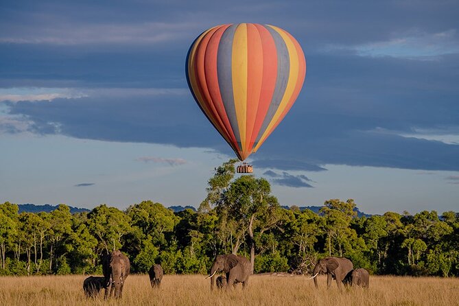 6-Day Samburu, Lake Nakuru, and Masai Mara Safari - Masai Mara National Reserve: Predators, Big Herd Energy, and One Optional Cultural Stop