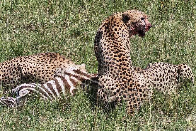 6 Days Amboseli, Lake Naivasha and Masai Mara Adventure - Key things I’d pencil in first