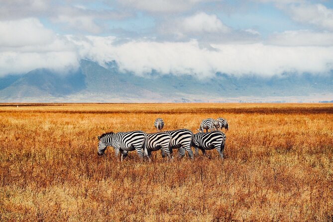 6 Days best of kenya safaris Maasai Mara-Lake Nakuru Amboseli National Park - Meals, timing, and comfort: what the included plan gets right
