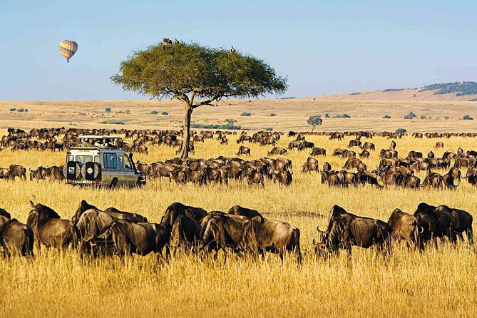 6 Days Group Multi Day Tour Masai Mara Lake Nakuru and Amboseli - 6 Days, Three Parks, One Clear Goal: Wildlife You Can Actually See